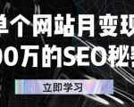 单个网站月变现100万的SEO秘密，百分百做出赚钱站点-一米创业记