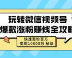 玩转微信视频号爆款涨粉赚钱全攻略，快速涨粉百万变现万元秘诀-一米创业记