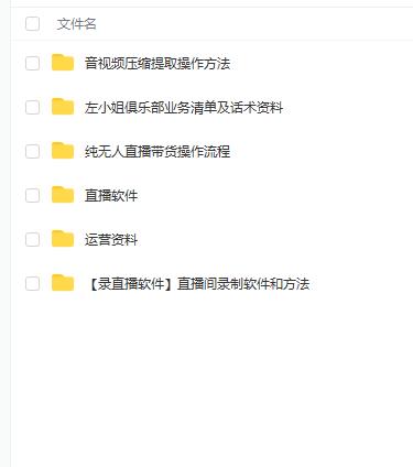 左小姐-直播带货俱乐部十三行、无人直播，全套教程附：工具、文档、话术资料-一米创业记