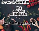漆十二美食摄影，25​节promovie实操高手课节-一米创业记