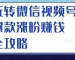 玩转微信视频号爆款涨粉赚钱全攻略，让你快速抓住流量风口，收获红利财富-一米创业记