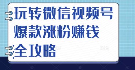 玩转微信视频号爆款涨粉赚钱全攻略，让你快速抓住流量风口，收获红利财富-一米创业记