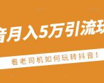 老古董·抖音月入5万引流玩法，看看老司机如何玩转抖音(附赠：抖音另类引流思路)-一米创业记