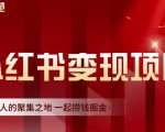 渣圈学苑·小红书虚拟资源变现项目，一起捞钱掘金价值1099元-一米创业记