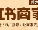 贾真-小红书商家营第6期商家版，21天带货陪跑课，让商家丢掉付流量-一米创业记