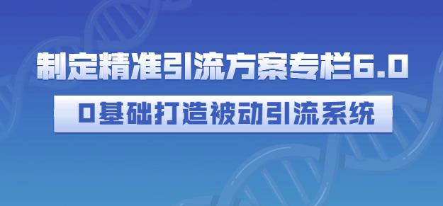 制定精准引流方案专栏6.0，0基础打造被动引流系统-一米创业记