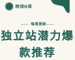 【跨境B哥】独立站潜力爆款选品推荐，测款出单率高达百分之80-一米创业记