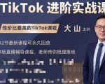 大山老师TikTok进阶实战课：账号详解，流量运营，实战变现，助力你成功出海-一米创业记