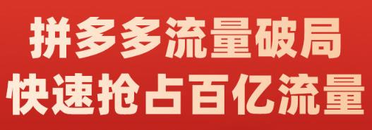 阿杰·拼多多流量破局:如何打黑标，爆款的思路，拼多多流量框架，快速抢占百亿流量-一米创业记