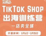 疯人院:TikTok Shop出海训练营（一店卖全球)，出海抢占全球新流量-一米创业记