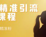 soul精准引流系列课程，每天引流100精准粉-一米创业记