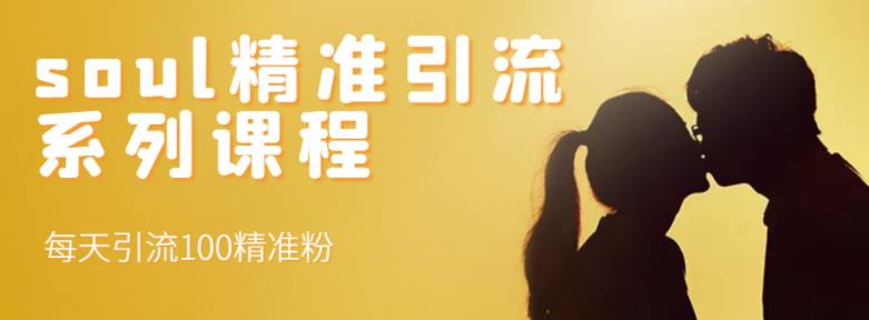 soul精准引流系列课程,每天引流100精准粉-一米创业记