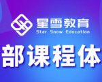 星雪教育淘系高级班，更全的运营提升方案，零基础由浅入深，店铺最新玩法-一米创业记