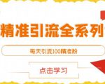 闲鱼精准引流全系列课程，每天引流100精准粉【视频课程】-一米创业记