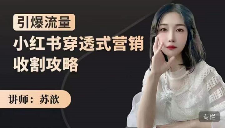 苏歆：小红书穿透式营销收割攻略，引爆流量，助你玩转小红书-一米创业记