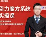 阿呆-引力魔方系统实操课，全体系实战教学，助你快速掌握推荐流量底层逻辑-一米创业记