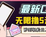 【高端精品】最新无撸5元E卡项目，无限接码秒到，一单利润3.5，轻松日入破千-一米创业记