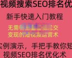 宋老师·短视频搜索SEO优化，教你10分钟创作一个短视频，三天排名上第一-一米创业记