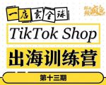 TikTokShop出海训练营（第十三期），打开全球流量新思维，出海抢占全球新流量，一店卖全球-一米创业记