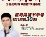星哥同城教育书单号课程，无需出境简单操作项目稳定-一米创业记
