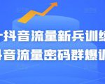 Peter抖音流量新兵训练营-破解抖音流量密码群爆训练营（新兵）-一米创业记