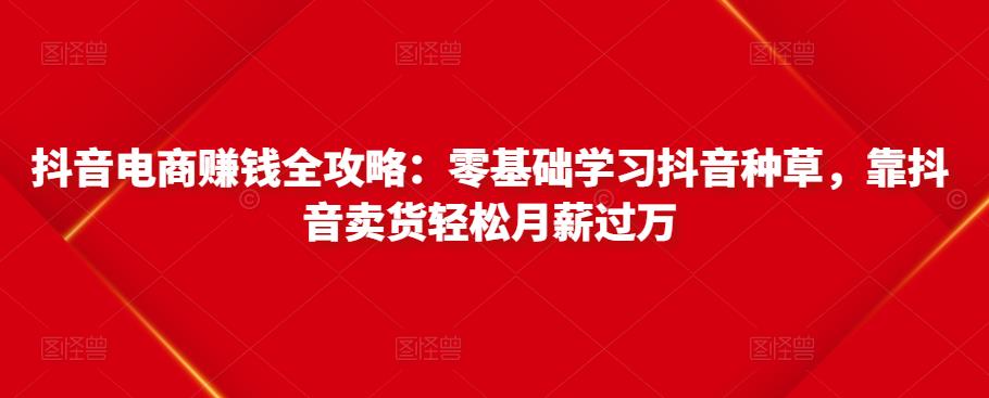 抖音电商赚钱全攻略：零基础学习抖音种草，靠抖音卖货轻松月薪过万-一米创业记