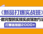凌童《新品打爆实战班》,一套完整的实操实战落地方法，打爆链接超2000+（28节课)-一米创业记
