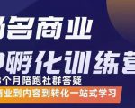杨名商业IP孵化训练营，从商业到内容到转化一站式学 价值5980元-一米创业记