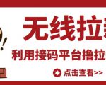 最新接码无限拉新项目，利用接码平台赚拉新平台差价，轻松日赚500+-一米创业记