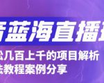 抖音最新蓝海直播玩法，3分钟赚30元，一天轻松1000+，只要你去直播就行【详细玩法教程】-一米创业记