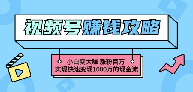 玩转微信视频号赚钱：小白变大咖涨粉百万实现快速变现1000万的现金流-一米创业记