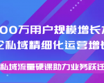 8000万用户规模增长方法论私域精细化运营增长，私域流量硬课助力业务跃迁-一米创业记