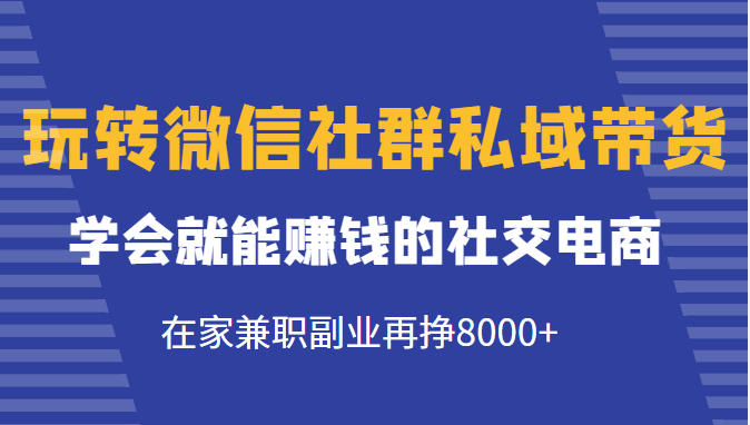 玩转微信社群私域带货，学会就能赚钱的社交电商，在家兼职副业再挣8000+-一米创业记