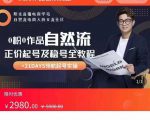 0粉0作品自然流正价起号及稳号全教程，专业自然流起号机构流程化教学（价值2980元）-一米创业记