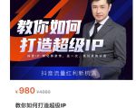 教你如何打造超级IP，抖音流量红利新机遇（价值980元）-一米创业记