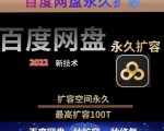 百度网盘无限扩容技术，外面卖399的，无论自己用还是用做引流都可以-一米创业记