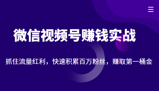 微信视频号赚钱实战：抓住流量红利，快速积累百万粉丝，赚取你的第一桶金-一米创业记