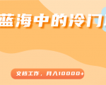 超级蓝海中的冷门项目，文档工作，好玩又赚钱，月入10000+-一米创业记