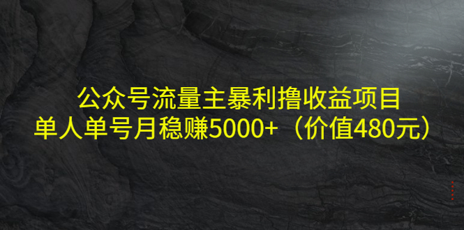 公众号流量主暴利撸收益项目，单人单号月稳赚5000+（价值480元）-一米创业记