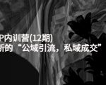 新媒体IP内训营(12期)，一套全新的“公域引流，私域成交”IP打法，直接带走-一米创业记