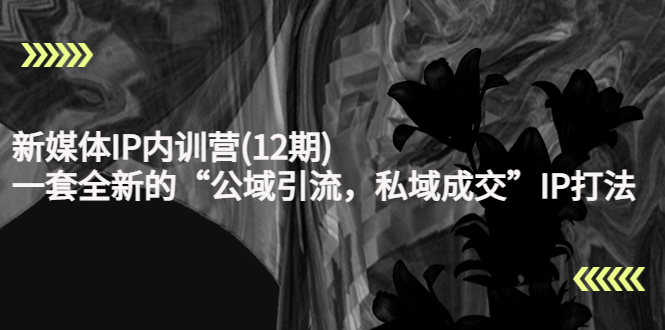 新媒体IP内训营(12期)，一套全新的“公域引流，私域成交”IP打法，直接带走-一米创业记