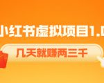 《小红书虚拟项目1.0》账号注册+养号+视频制作+引流+变现,几天就赚两三千-一米创业记