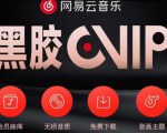 网易云音乐撸黑胶年卡及变现方法，收益可无限放大-一米创业记
