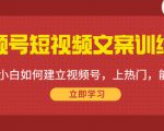 视频号短视频文案训练营：0基础小白如何建立视频号，上热门，能卖货！-一米创业记