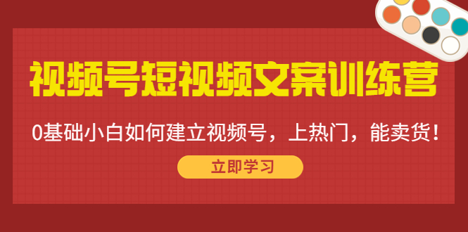 视频号短视频文案训练营：0基础小白如何建立视频号，上热门，能卖货！-一米创业记