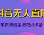 抖音无人直播带货赚佣金陪跑训练营（价值6980元）-一米创业记