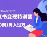 小红书变现特训营：带你快速入局小红书，从0到1月入过万-一米创业记