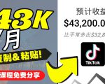 2022抖音国际版Tiktok赚钱项目：每天上传一个视频就轻松月入$43200-一米创业记
