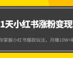 21天小红书涨粉变现营（第4期）：带你掌握小红书爆款玩法，月赚10W+秘密-一米创业记