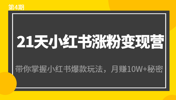 21天小红书涨粉变现营（第4期）：带你掌握小红书爆款玩法，月赚10W+秘密-一米创业记